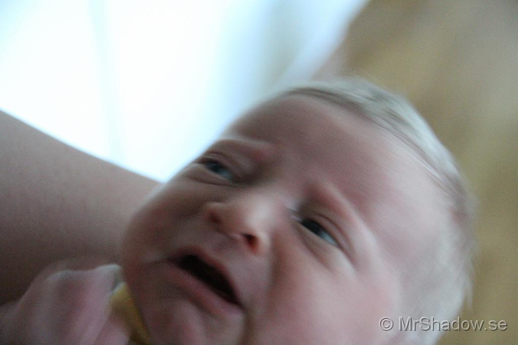 IMG_4603.JPG