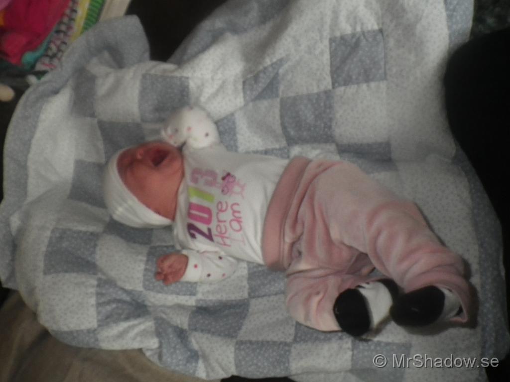 IMGP2418.JPG