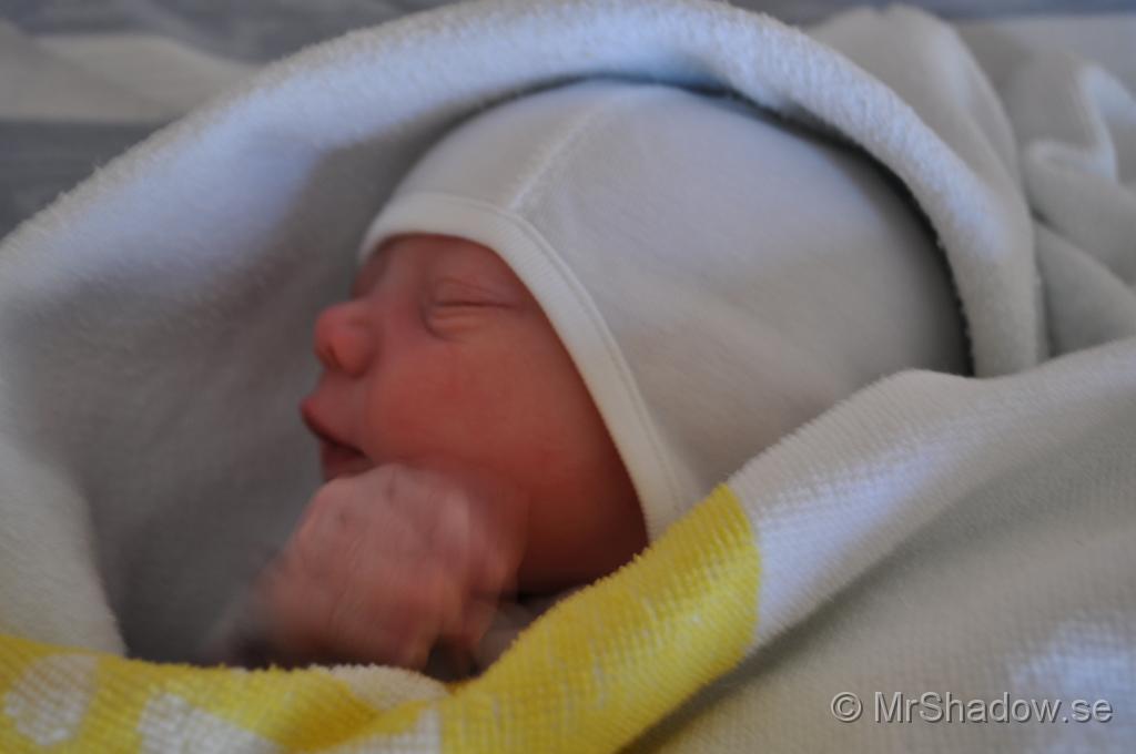 DSC_0777.JPG