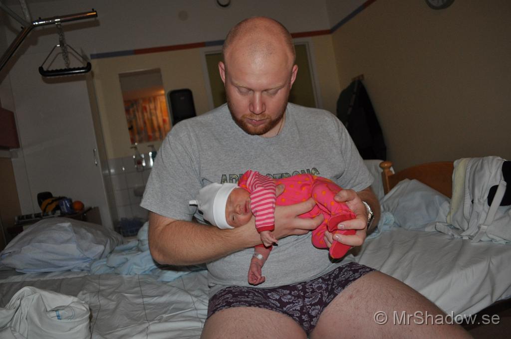 DSC_0826.JPG