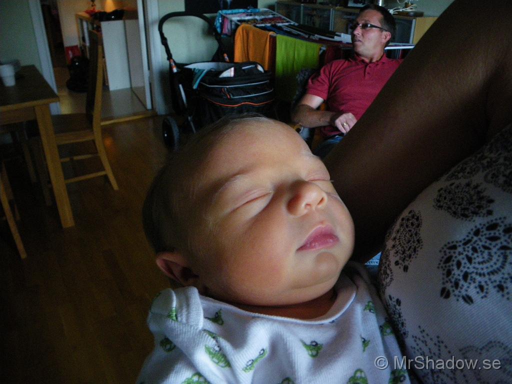 IMGP4540.JPG