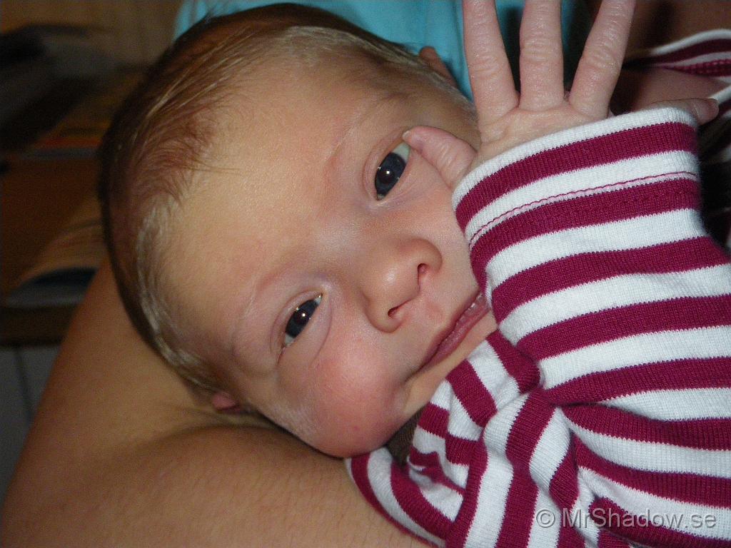 IMGP4642.JPG
