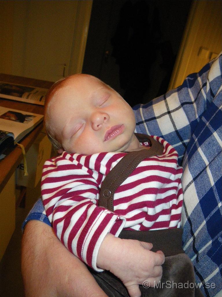 IMGP4646.jpg
