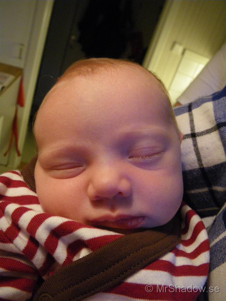 IMGP4649.jpg