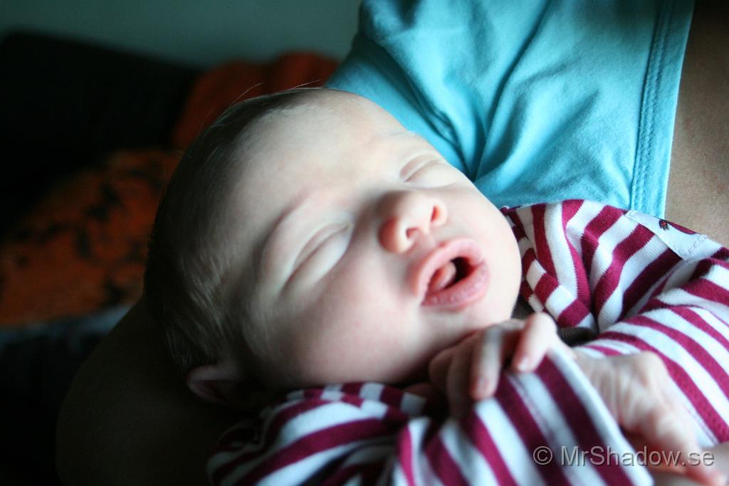 IMG_0408.JPG