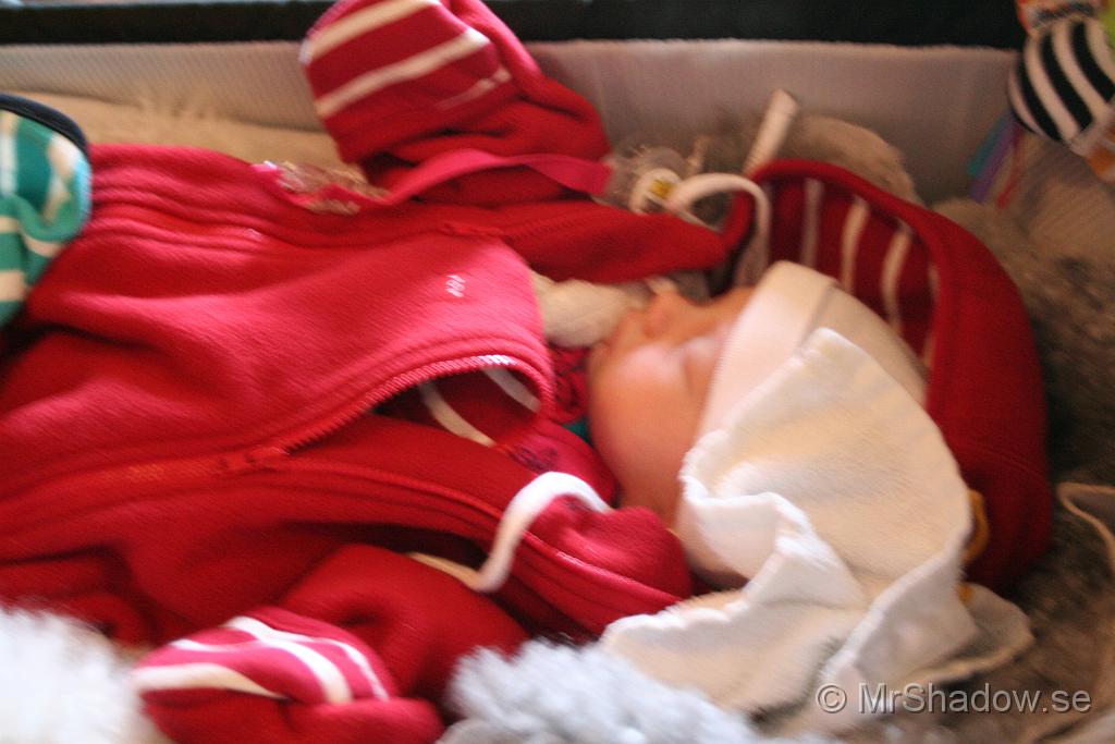 IMG_0496.JPG