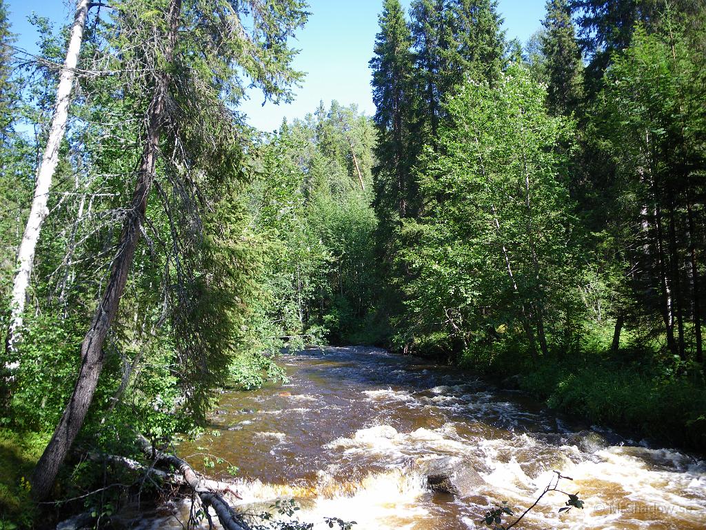 IMGP1518.JPG - Mycket vatten i Åringsån. Men det kom ca 60mm regn på mindre än två dagar också, så någonstanns måste vattnet ta vägen.