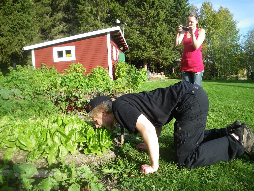 IMGP2081.JPG - Kanin på grönbete och salladen verkar smaka bra..