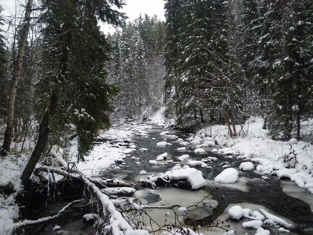 IMGP2349.JPG - Det är vinter vid Ån