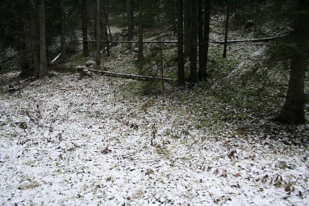 IMG_5659.JPG - Det kommer en stig snett uppifrån höger.. Det är bara när det ligger ett mycket tunt lager snö som man kan se dessa djurstigar. Rådjur är det troligen som trafikerar här.