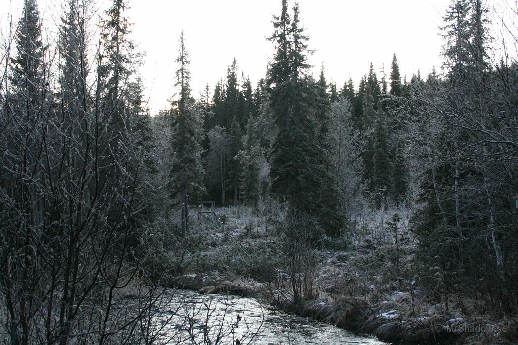 IMG_5692.JPG - Där borta brukar det nog sitta jägare på pass, men inte idag som tur är.