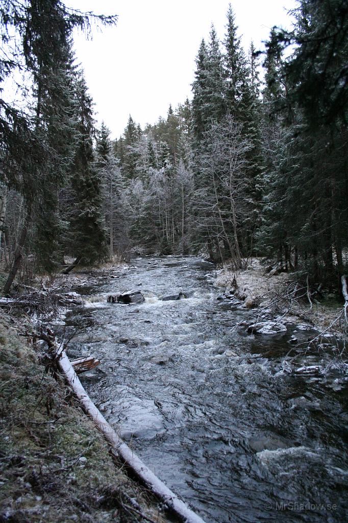 IMG_5706.JPG - Mycket vatten i Åringsån och det beror på att det regnat ovanligt mycket för årstiden. Borde kommit som snö istället.