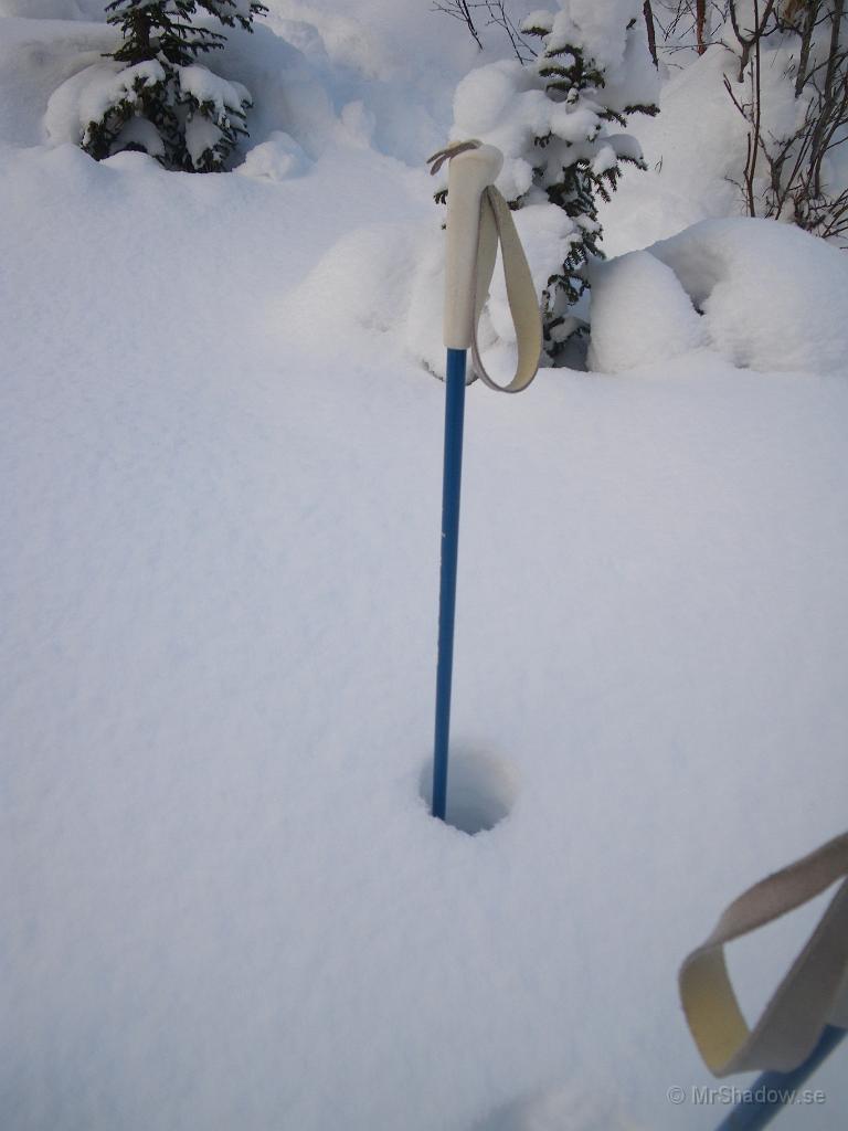 IMGP2808.jpg - Hmm. Staven är visst 130 cm lång och mer än halva bara försvinner...