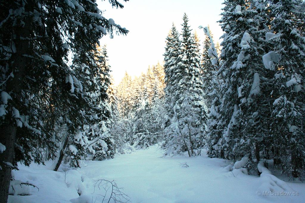 IMG_6357.JPG - Vid ån ligger snön tjock och det är svårt att ge rättvisa åt ljuset också..