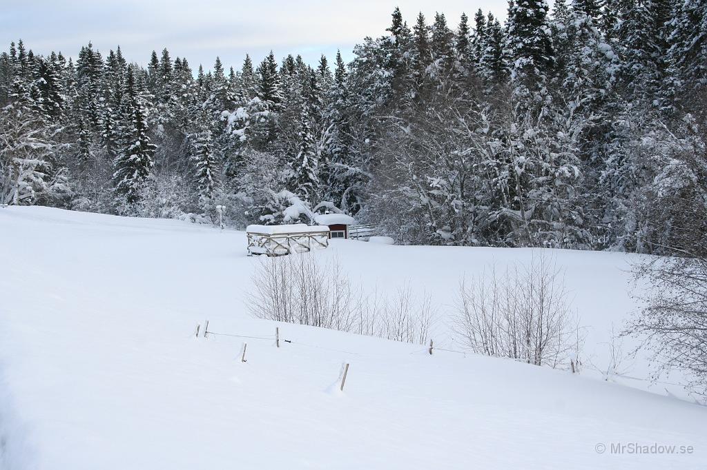 IMG_6385.JPG - Det är lite stelfruset vid dammen på Slåtte gård