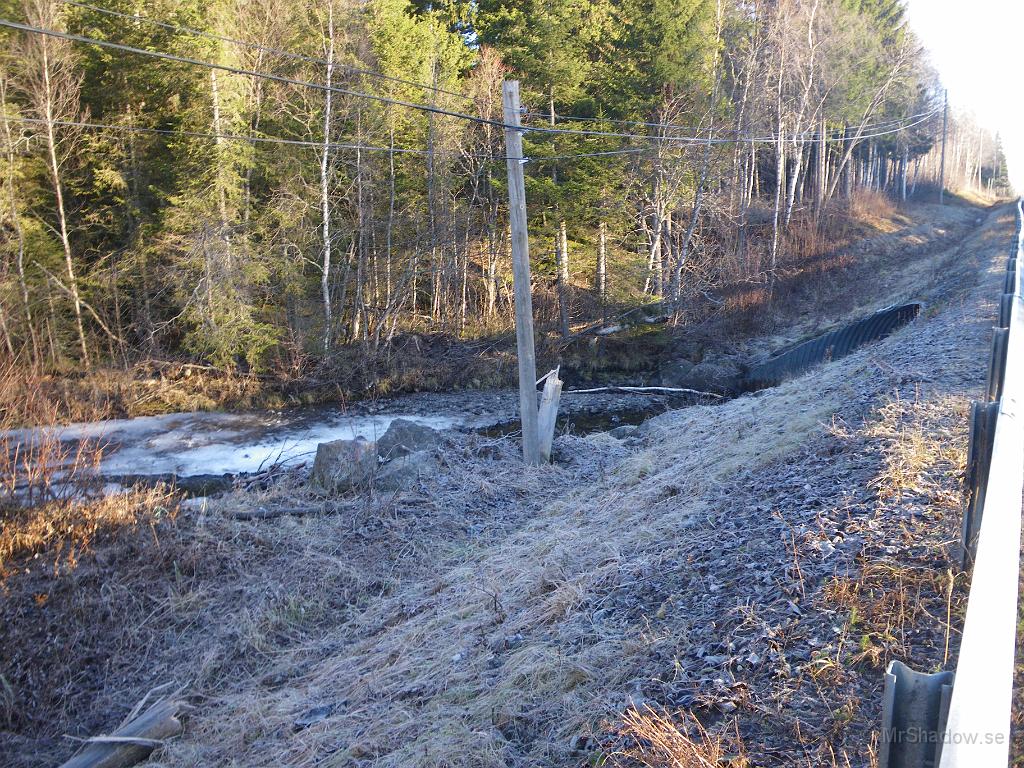 IMGP4858.JPG - En knäckt telefonstolpe blev resultatet i naturen.. Bilen blev skrot, men föraren klarade sig bra. Kanske blöt om fötterna efter det att bilen fick stopp nere i Åringsån