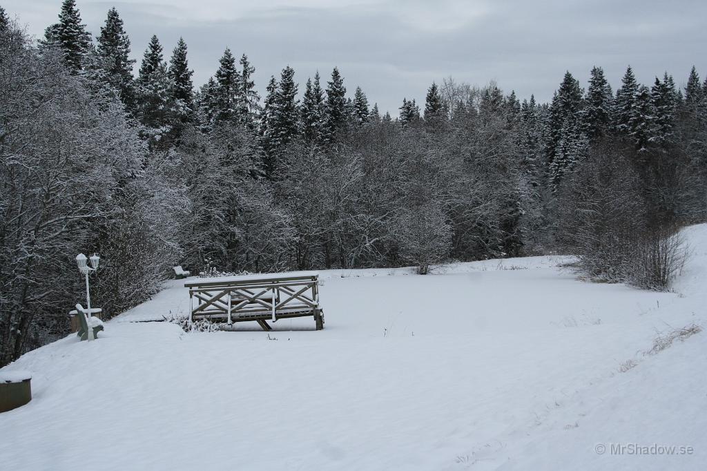 IMG_0936.JPG - Nu är det riktig vinter vid dammen också..