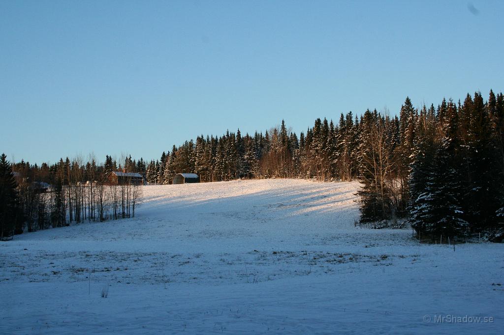 IMG_1002.JPG - Här brukar det vara hästar, men denna dag var det tomt..