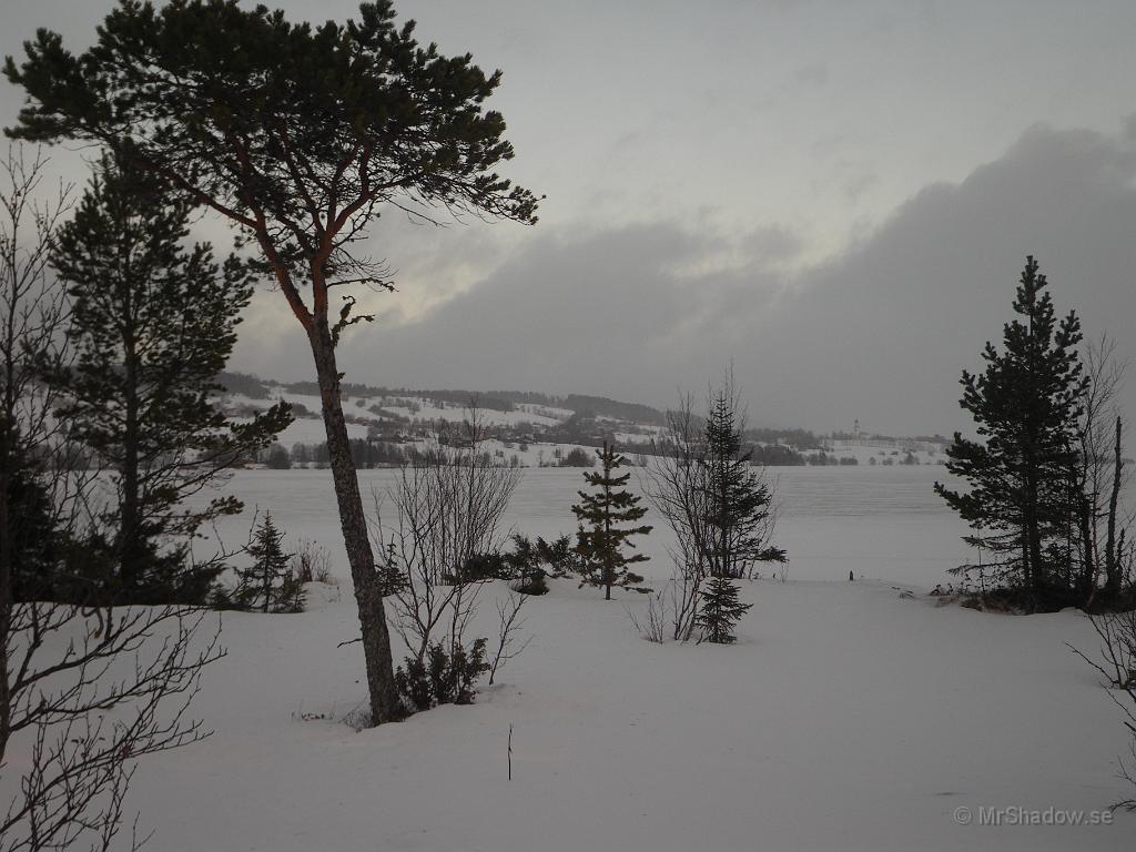 IMGP5620.JPG - Gick en liten sväng och kom ut på myren vid Alsensjön.