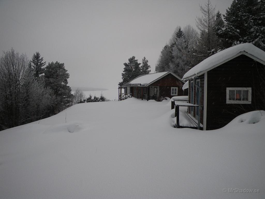 IMGP5718.JPG - 2011-02-13  Hos kompisarna är det helt orört snötäcke..