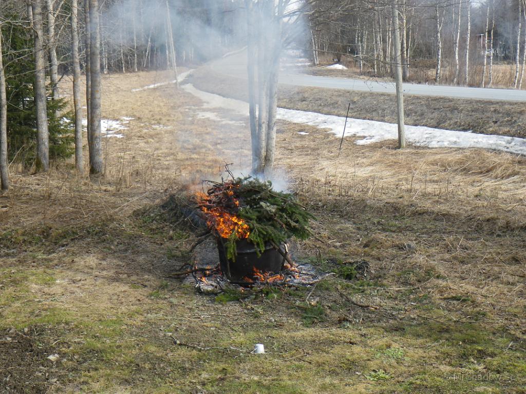 IMGP0641.JPG - Det borde ryka betydligt mer av granris.. Men det gör ju inget om det INTE ryker.. 