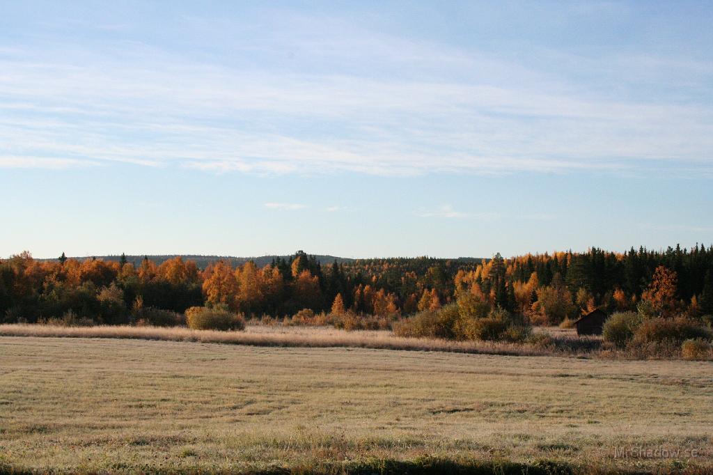 IMG_2767.JPG - Höst och frost på åkern