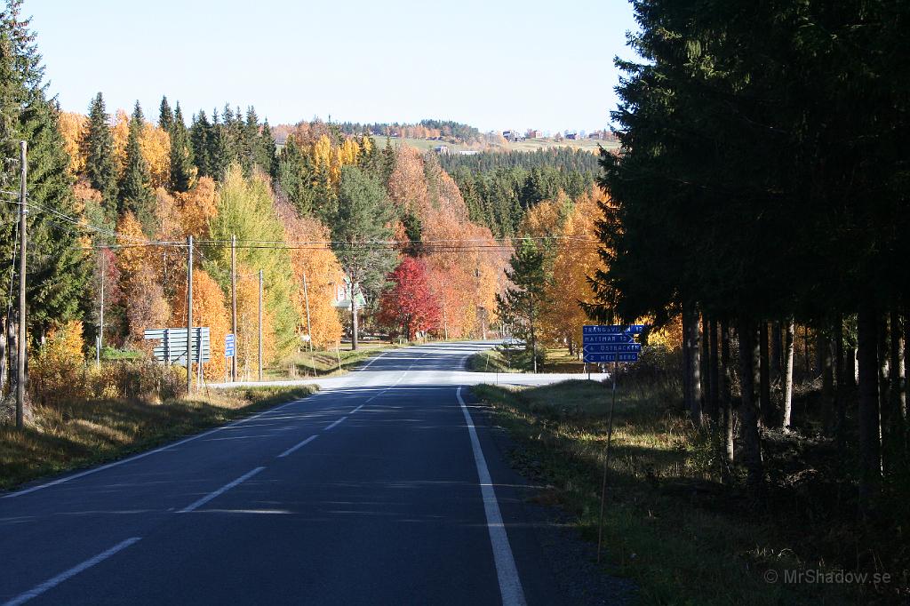 IMG_2771.JPG - Skaplig utsikt och vilka färger det är..