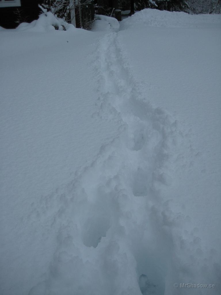 IX70_0208.JPG - Spår i snön, men bara efter mig själv..