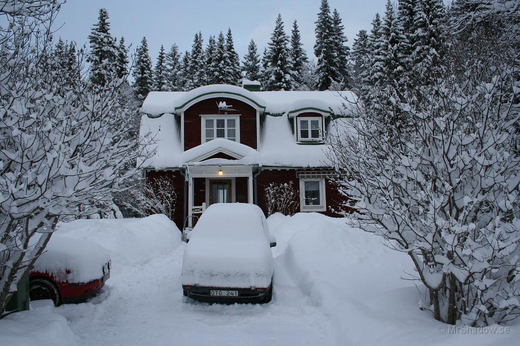 IMG_3280.JPG - Det har snöat rejält sista dygnet