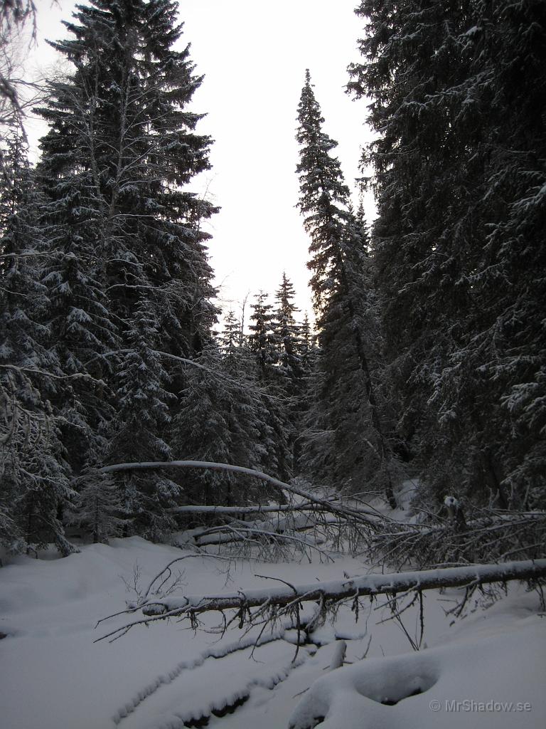 IX70_0456.JPG - Bäcken igen, nu lördag 12 jan