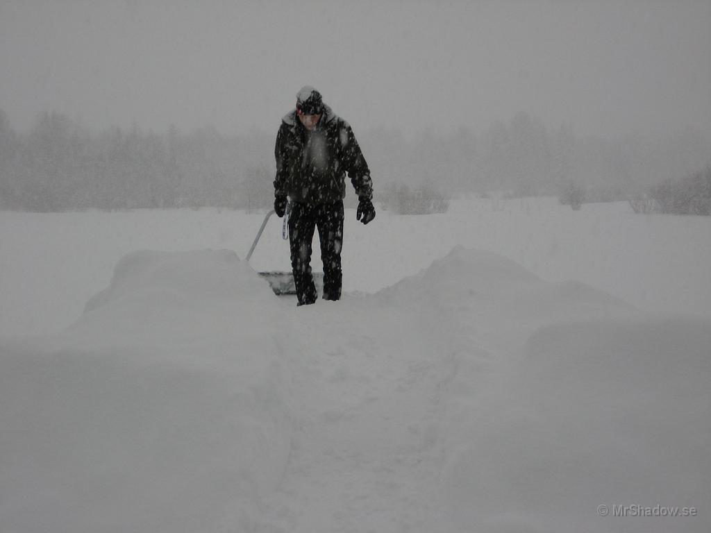 IX70_0515.JPG - Bara snö så långt man ser, men Bodyguard försöker lösa lagringsfrågan