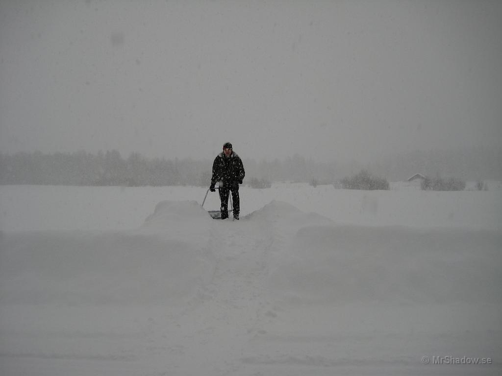 IX70_0516.JPG - Det är en stor åker att fylla OM det behövs..