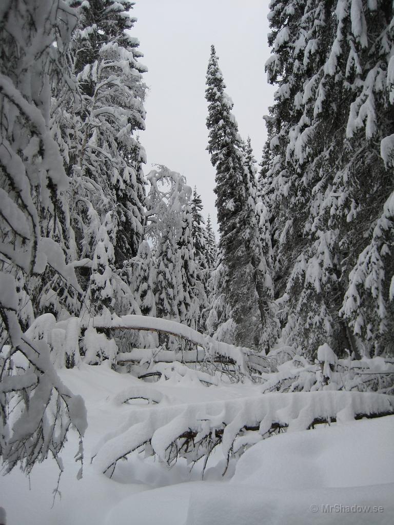 IX70_0527.JPG - Bäcken lördag 26 janMycket mer snö än förrut