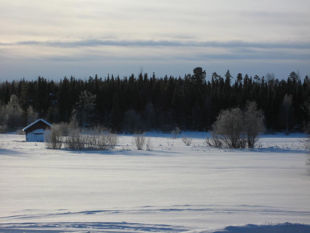 IX70_0548.JPG - Söndag 2 feb.Ser kallt ut och det är det. Ca -20 men ändå relativt behagligt i solen