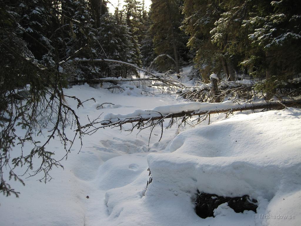 IX70_0585.JPG - Men snön dämpar ljudet bra