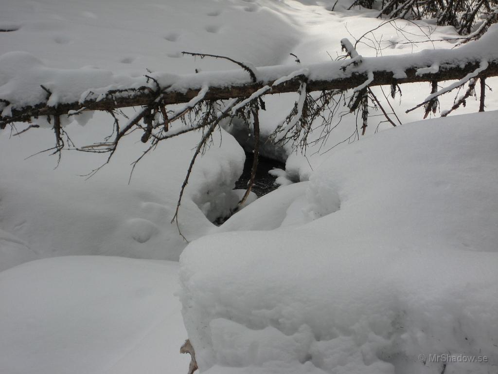 IX70_0699.JPG - Det porlar lite svagt under snön och det är en liiten del öppet vatten