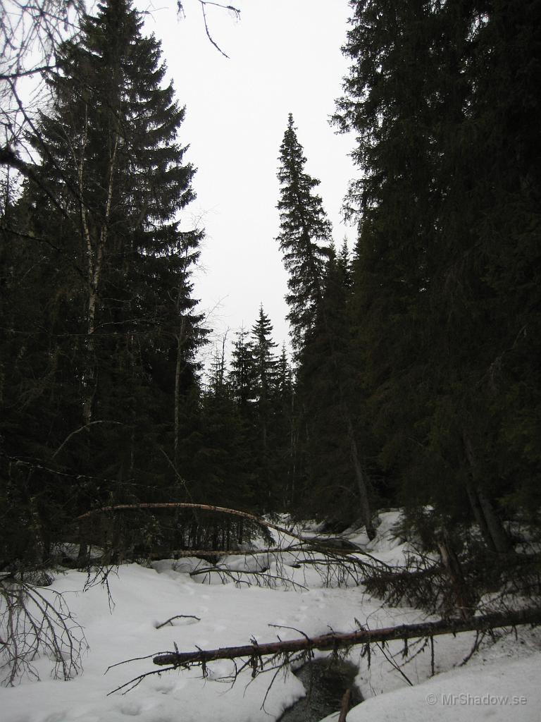 IX70_0760.JPG - Även vid ån börjar det vara vår. Isen börjar snälta och det är stråk med öppet vatten