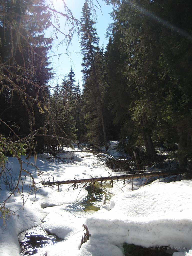 IX70_0784.JPG - Strålande väder vid ån