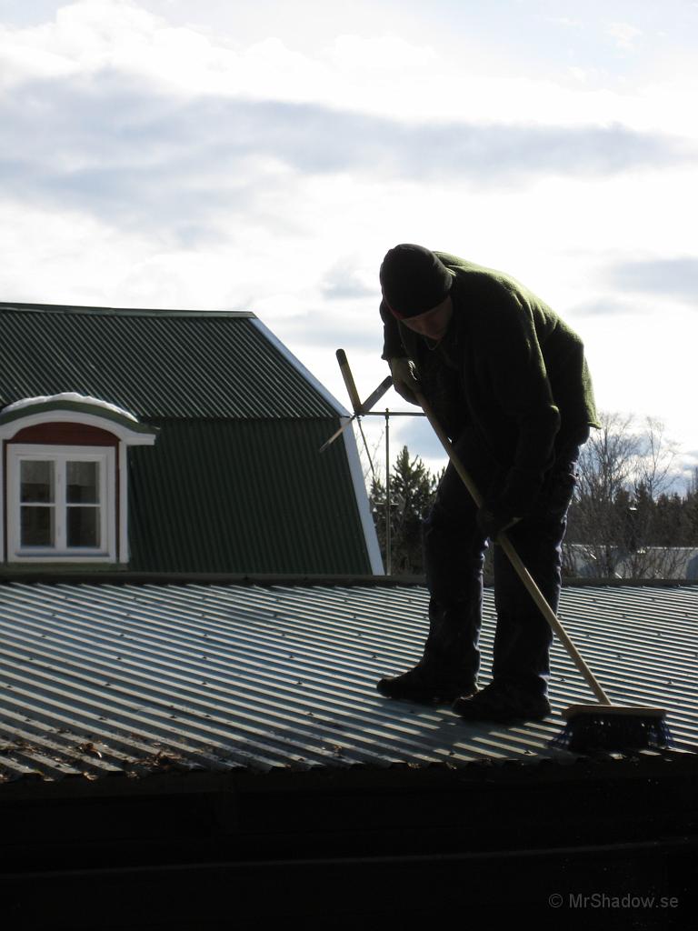 IX70_0790.JPG - Det samlas lite skräp från träden