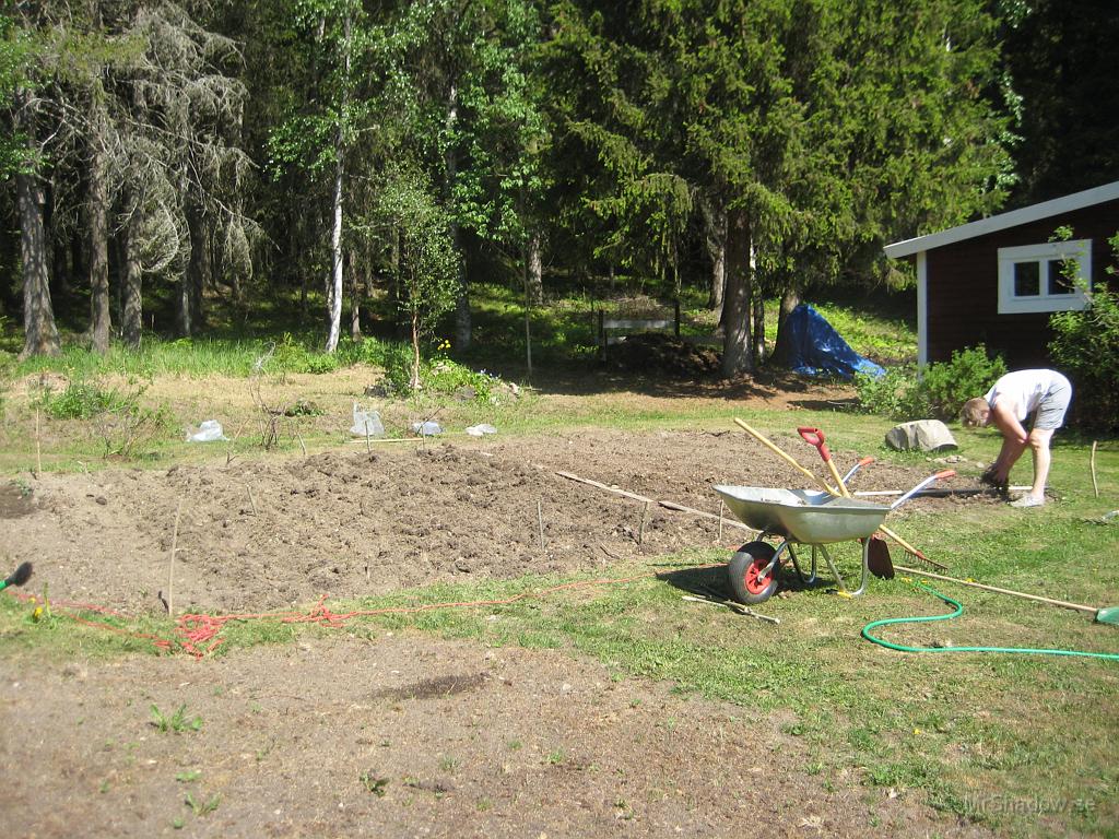 IX70_1170.JPG - 2006-06-06  Farmor har pillat ner en massa fröer i jorden. Även sex fåror med potatis har det blivit plus lite annat.