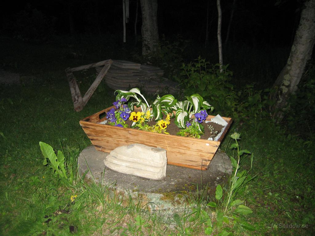 IX70_1442.JPG - Ett upphittat trätråg blir grunden i ett fint blomsterarrangemang på brunnslocket. Stenen är också lite speciell