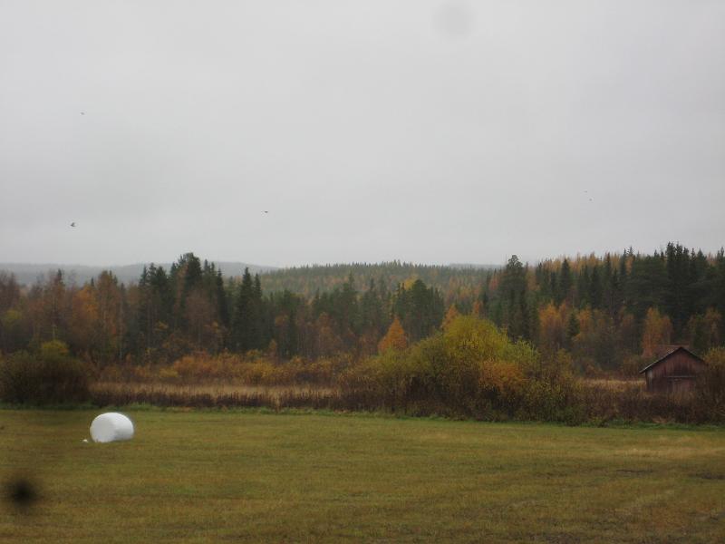 IX70_1839.JPG - 2008-10-04  Fortfarande lite grönt i löven men det gulbruna tar nu allt mer överhanden..