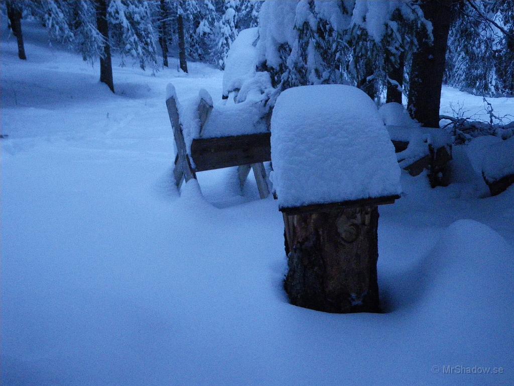 IMGP0084.JPG - Här samma objekt som förra bilden men utan hjälp av blixt. Bara för årstiden naturligt blått ljus...