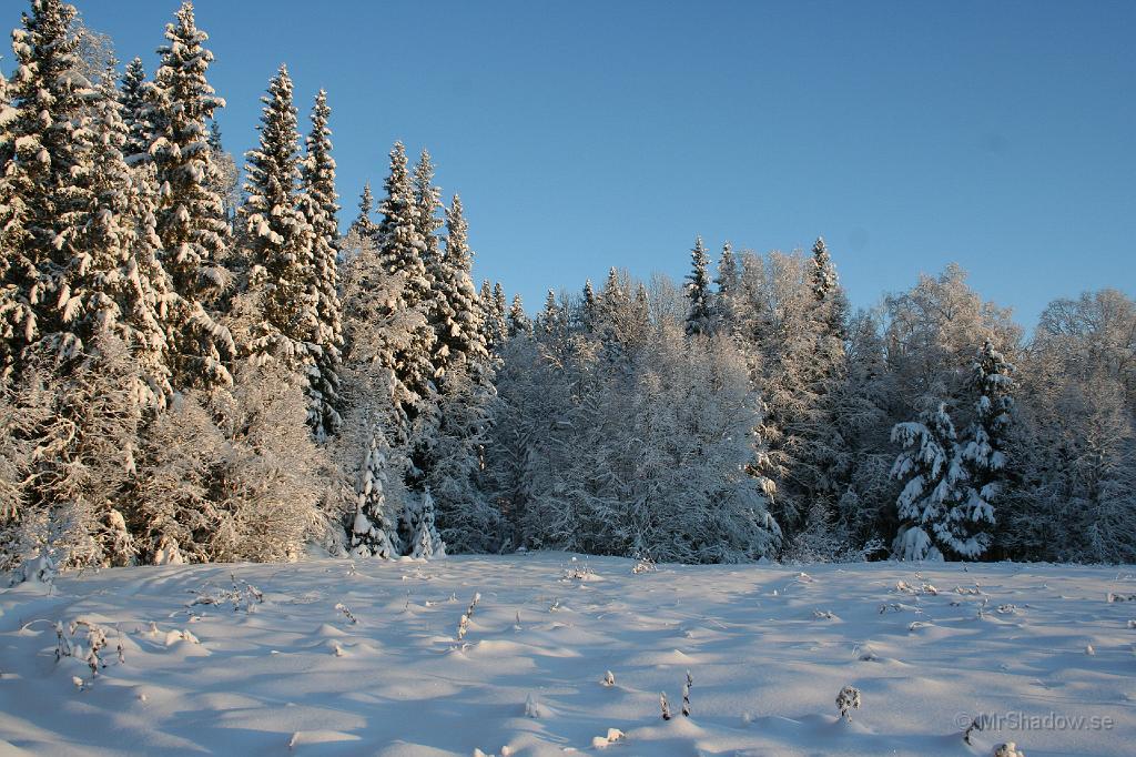 IMG_4097.JPG - Det är fint när det är snö eller rimfrost i de kala träden