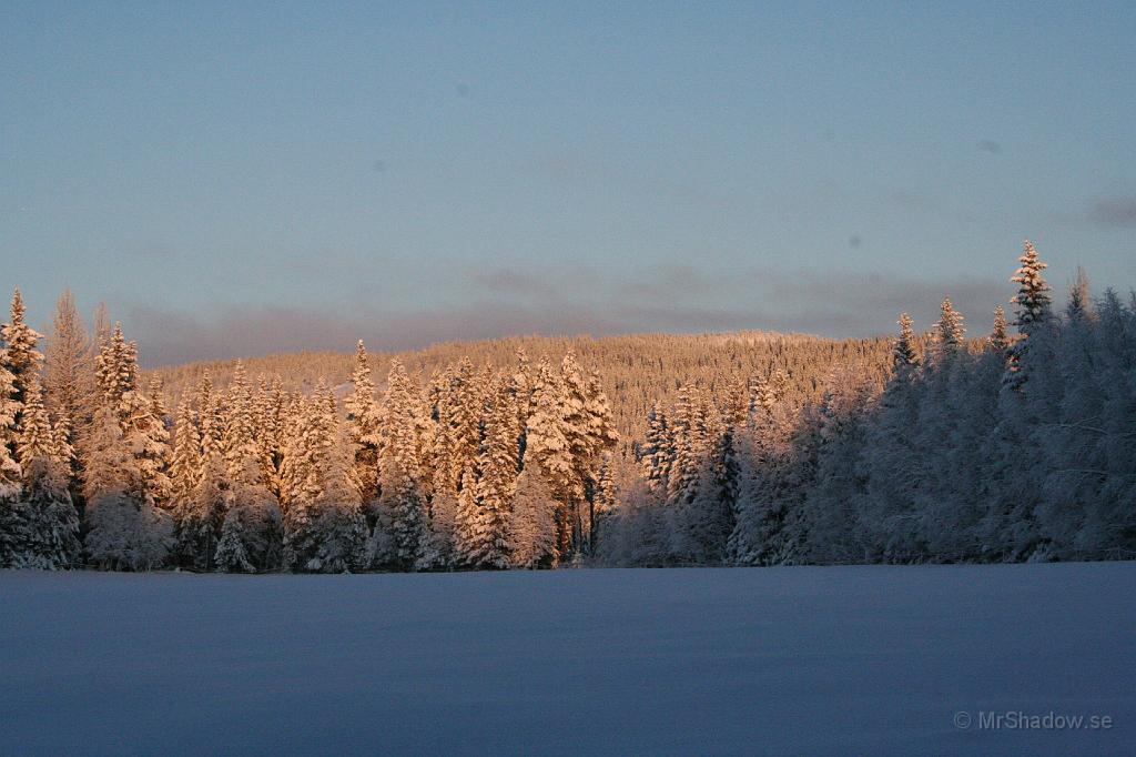 IMG_4100.JPG - Det ser kallt ut och det är det också. Skulle tro det är ca -15