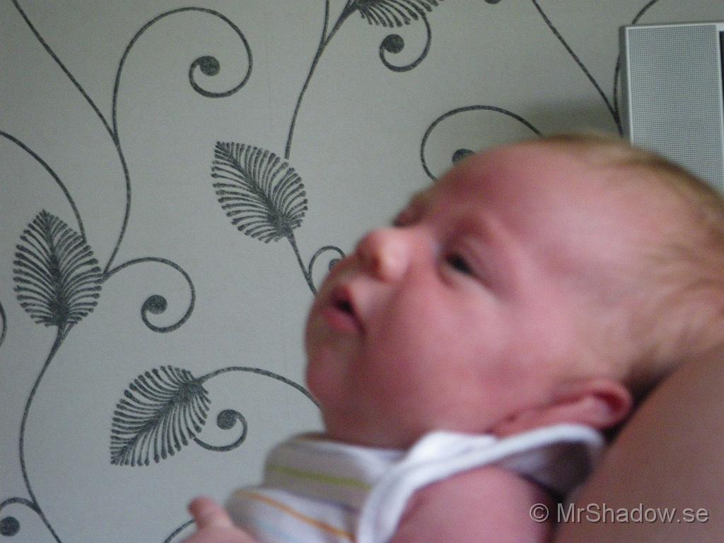 IMGP3831.JPG