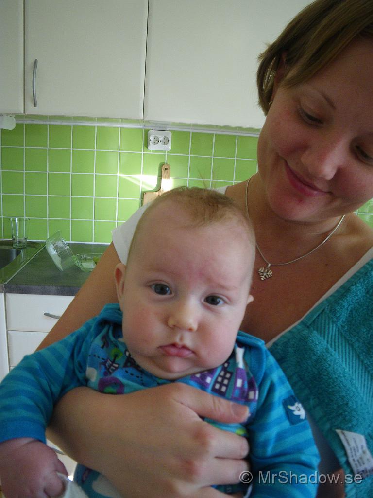 IMGP4631.jpg