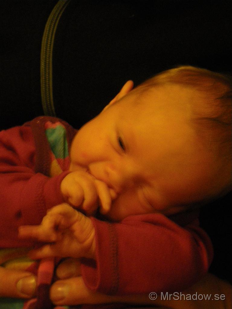 IMGP4836.jpg