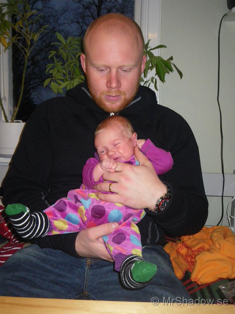 IMGP4837.jpg