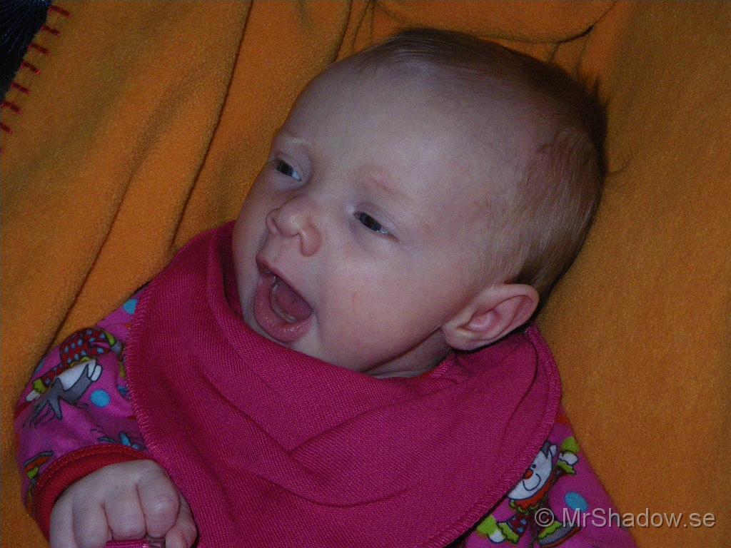 IMGP5022.JPG